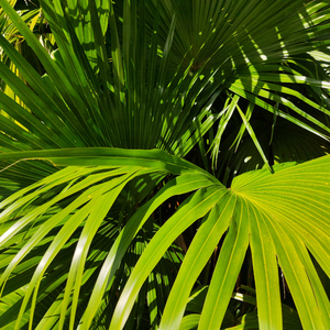 亚洲视频在线观看公司
